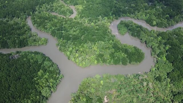 Aerial view of winding river flowing through dense mangrove forest with lush green vegetation in Phang Nga, Thailand.