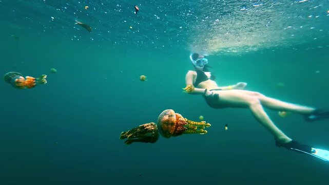 Underwater encounter with jellyfish in Sohoton Natural Bridge Park