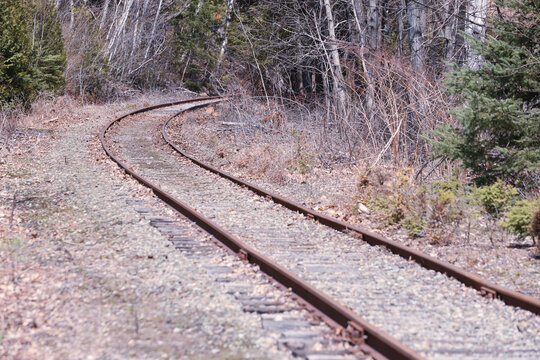 railway in the forest