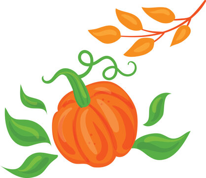 Orange pumpkin with green leaves and autumn branch vector illustration fall branch orange gourd harvest decoration halloween pumpkin thanksgiving decor