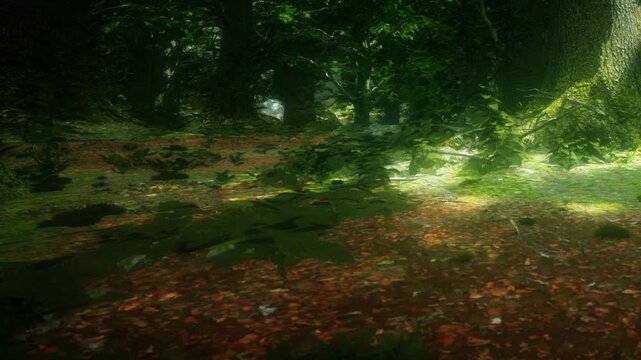 Bright sunlight shines through the trees in a forest. The ground is covered with leaves, creating a colorful scene. Shadows mix with sunlight, giving a warm look to the area.