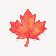 Naklejka premium Vibrant autumn maple leaf illustration.