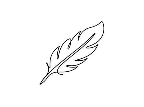 Single line drawing of a feather