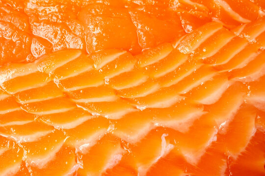 fresh salmon sashimi slices with beautiful fat marble texture background