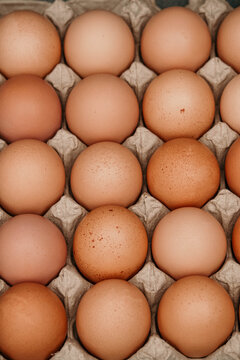 Close-up of a carton filled with brown eggs neatly arranged in a tray