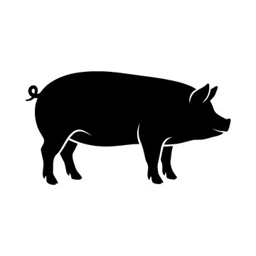 Black silhouette of a pig isolated on white background