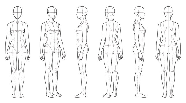 Detailed illustration of a female human body with multiple views demonstrating anatomical structure and proportion from front,