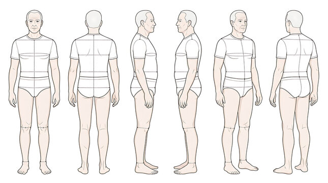 Comprehensive front and side view illustration of a human body anatomical outline displaying proportionate features and posture