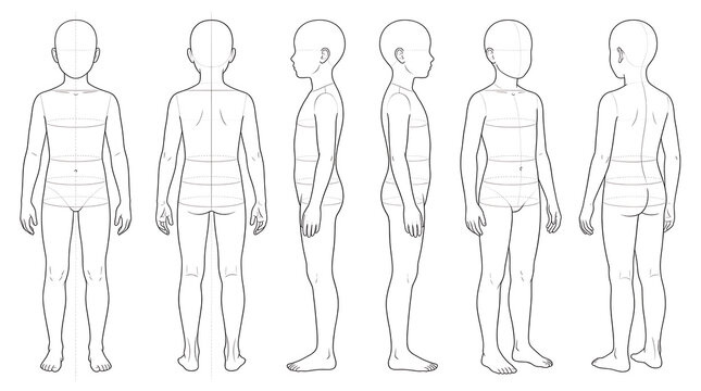 Comprehensive human body posture guides illustrating front, back, and side views for detailed anatomical study