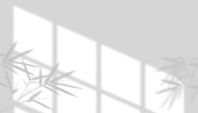 Geometric window and bamboo leaf shadow overlay isolated on transparent background for product