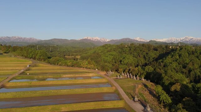 Aerial view of reflective rice paddies bordering forest and distant mountains