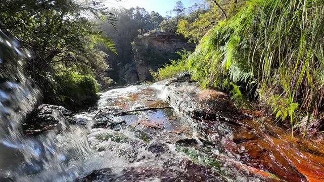 Cascading Waterfall and Lush Greenery in Blue Mountains National Park