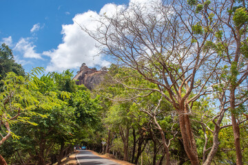 Sigiriya Rock Fortress Peak Rising Above Lush Tropical Trees, Sri Lanka