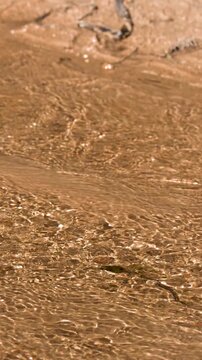 Golden Sunlight Rippling Over Shallow Creek Water and Sand