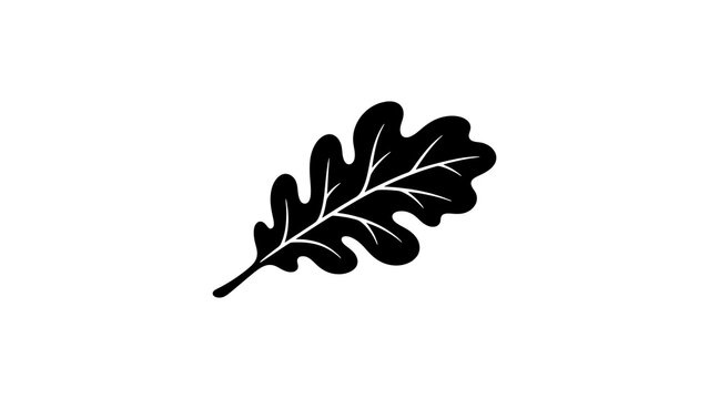 Oak leaf silhouette on a transparent background for nature design.