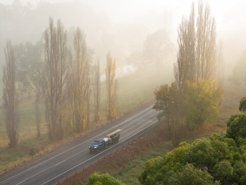 Blue ute towing a small trailer travelling along a country road shrouded in dense morning fog