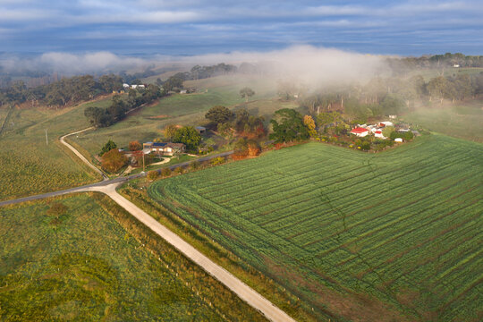 Misty rural farmland with country roads and crop fields at sunrise