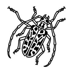 Fototapeta premium Detailed Line Art Illustration of a Longhorn Beetle.