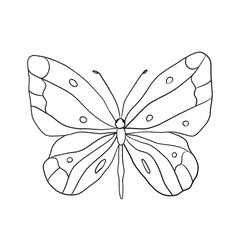 Minimalist Butterfly Line Art Illustration © Violetta