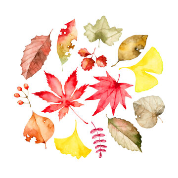 紅葉 落ち葉 秋　水彩 イラスト