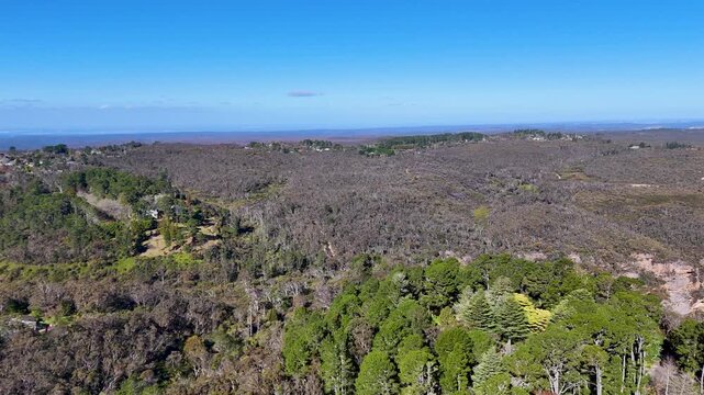 Aerial View of Suburban Houses and Greenery in Wentworth Falls