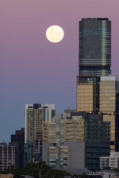 A full moon rising next to tall buildings in the CBD of Brisbane city