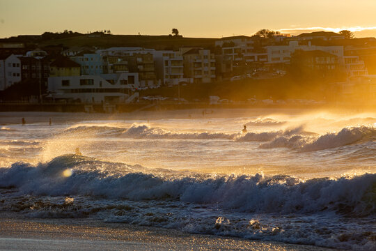 Surfers riding and waiting among powerful breaking ocean waves glowing in golden sunset light