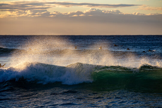 Breaking ocean wave glowing in warm golden hour sunlight
