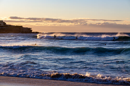 Surfers riding ocean waves during golden hour at beach