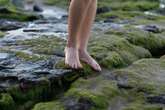 Close-up of bare feet standing on wet, moss-covered rocks near the shoreline