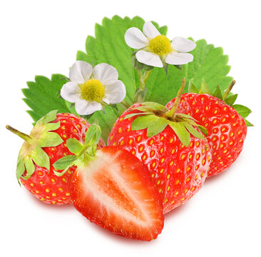 Fresh strawberries surrounded by green leaves and white flowers isolated on transparent background, PNG file