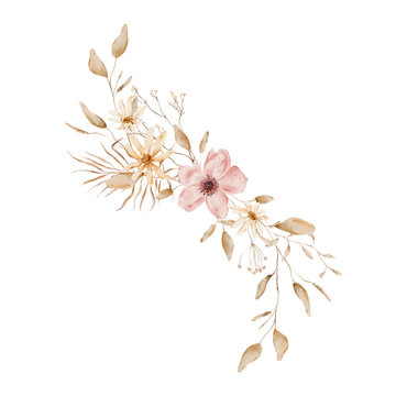 Hand painted watercolor diagonal composition with dusty pink poppy flower, cream daisies, dried beige leaves, small seed pods and thin twigs in warm terracotta tan palette isolated on white background
