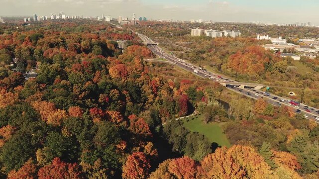 Aerial view of vibrant autumn forest landscape with highway traffic in Toronto during fall season.