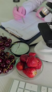 Study of fruits using microscope and note-taking in a lab setting with strawberries and cherries