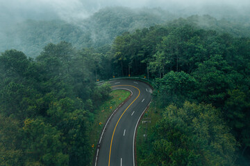 Obraz premium Atmospheric view of a winding road with yellow warning signs cutting through a dense misty pine forest on the scenic Chiang Mai to Pai route in Northern Thailand.