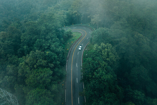 Scenic road trip through a lush green tropical rainforest covered in morning mist, representing sustainable eco-travel and nature exploration.