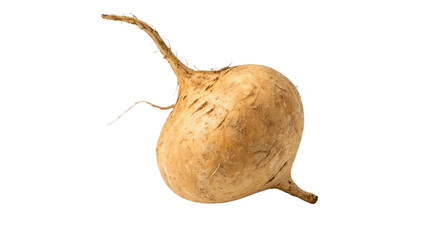Fresh raw golden turnip root with stem isolated on transparent background for traditional culinary healthy cooking. © harrington