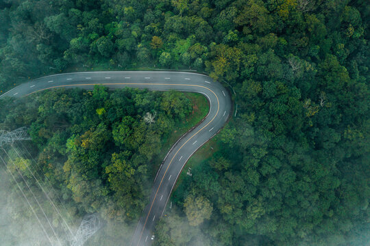 Serene nature background of a curved asphalt road in a dense green forest canopy, representing sustainable tourism and eco-friendly travel.