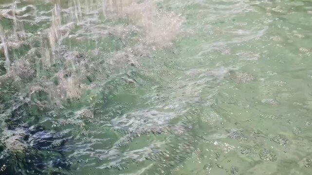 Clean water surface ripples and splashes from falling droplets creating abstract patterns, reflecting natural light and showing movement of liquid in an outdoor water park, slow motion