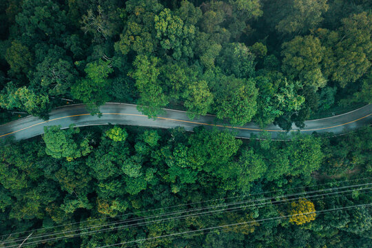 Serene nature background of a curved asphalt road in a dense green forest canopy, representing sustainable tourism and eco-friendly travel.