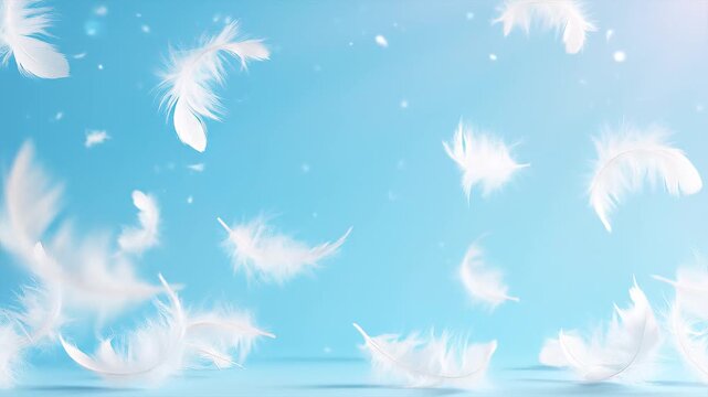 Plumes blanches volant doucement sur fond bleu ciel
