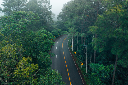 Atmospheric view of a winding road with yellow warning signs cutting through a dense misty pine forest on the scenic Chiang Mai to Pai route in Northern Thailand.