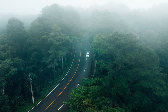 Scenic road trip through a lush green tropical rainforest covered in morning mist, representing sustainable eco-travel and nature exploration.