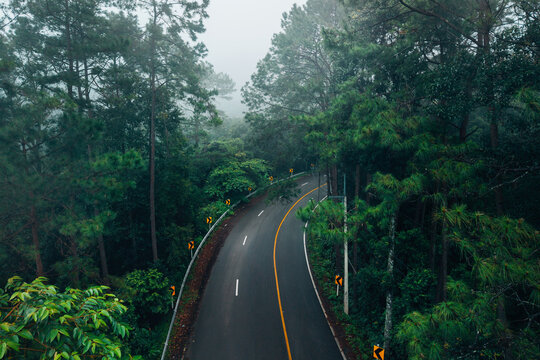 Atmospheric view of a winding road with yellow warning signs cutting through a dense misty pine forest on the scenic Chiang Mai to Pai route in Northern Thailand.