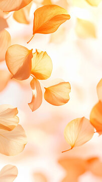 金木犀の花びらが優しく舞い散る秋の訪れを感じさせるオレンジ色の美しいイメージ　淡く明るい背景に余白を活かした配置で文字入れがしやすく、ふんわりとした柔らかい光に包まれた情緒あふれるデザイン素材　季節の挨拶状やショップのポスター、Webサイトのバナー、SNSの投稿背景、プレゼン資料の表紙、メッセージカードに使える高品質な背景
