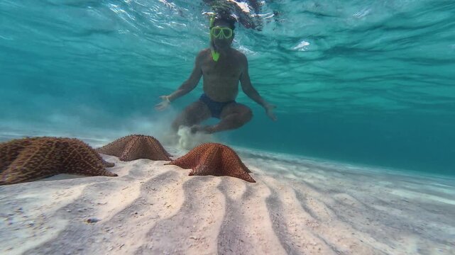 Swimmer exploring shallow azure ocean waters alongside vibrant starfish on the seafloor for a serene underwater experience