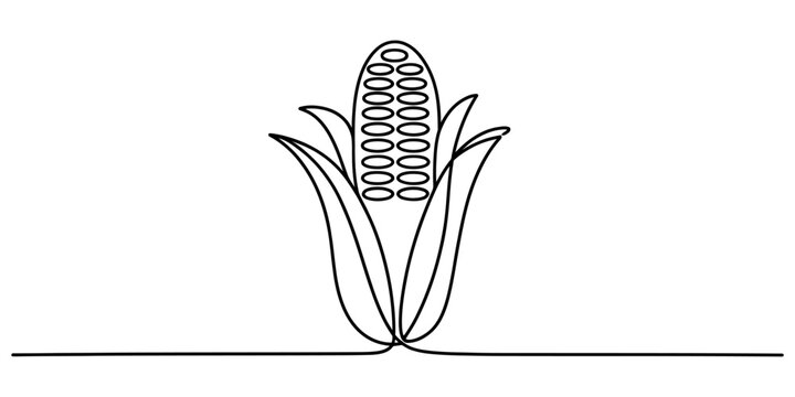 Continuous single line drawing of a fresh corn cob with green leaves