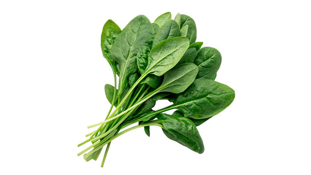 Bunch of fresh green spinach leaves raw vegetable isolated on transparent background for organic healthy diet cooking.