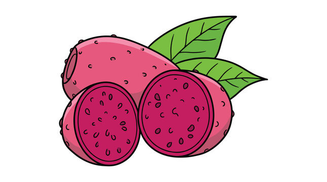 Red prickly pear cactus fruit vector illustration with whole and halved tuna cardona showing black seeds and vibrant green leaves.