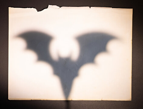 Large bat shadow on vintage torn paper for Halloween poster spooky banner or vampire invitation